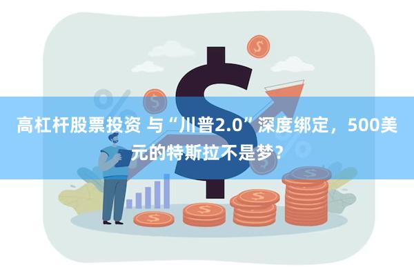 高杠杆股票投资 与“川普2.0”深度绑定，500美元的特斯拉不是梦？