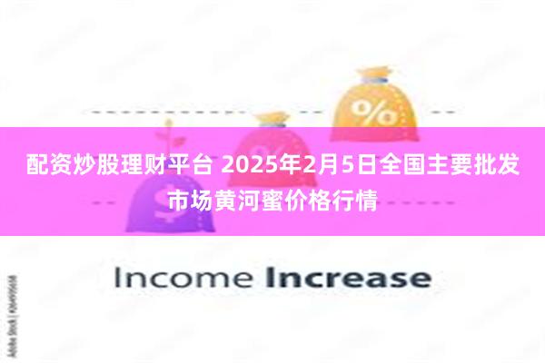 配资炒股理财平台 2025年2月5日全国主要批发市场黄河蜜价格行情