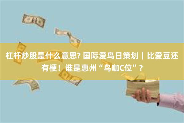 杠杆炒股是什么意思? 国际爱鸟日策划｜比爱豆还有梗！谁是惠州“鸟咖C位”？