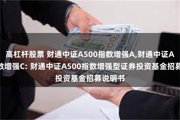 高杠杆股票 财通中证A500指数增强A,财通中证A500指数增强C: 财通中证A500指数增强型证券投资基金招募说明书