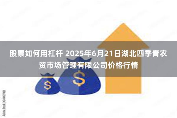 股票如何用杠杆 2025年6月21日湖北四季青农贸市场管理有限公司价格行情
